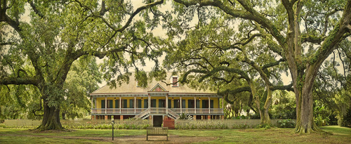 Laura Creole Plantation